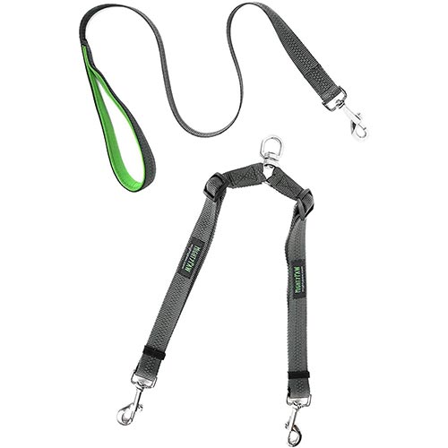 Mighty paw double dog leash best sale